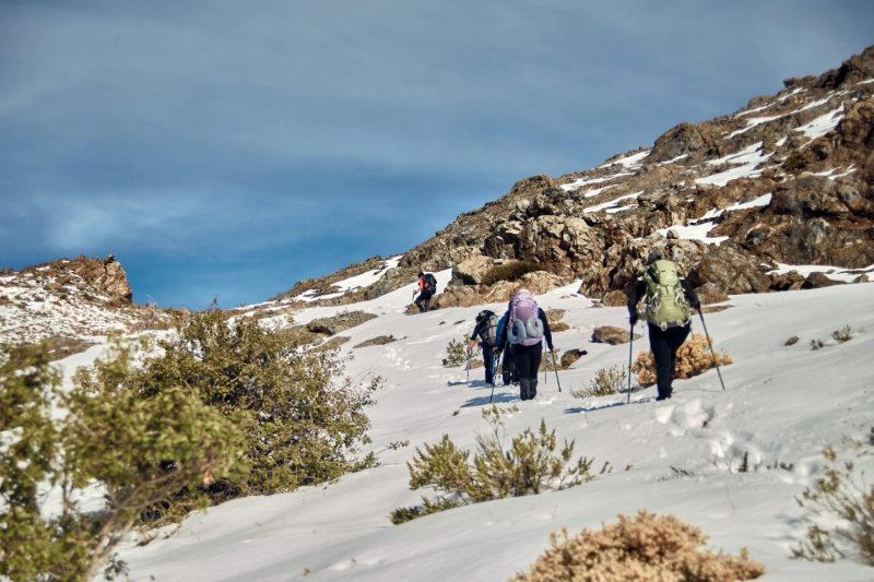 Cuatro montañistas con mochilas y bastones suben una ladera nevada
